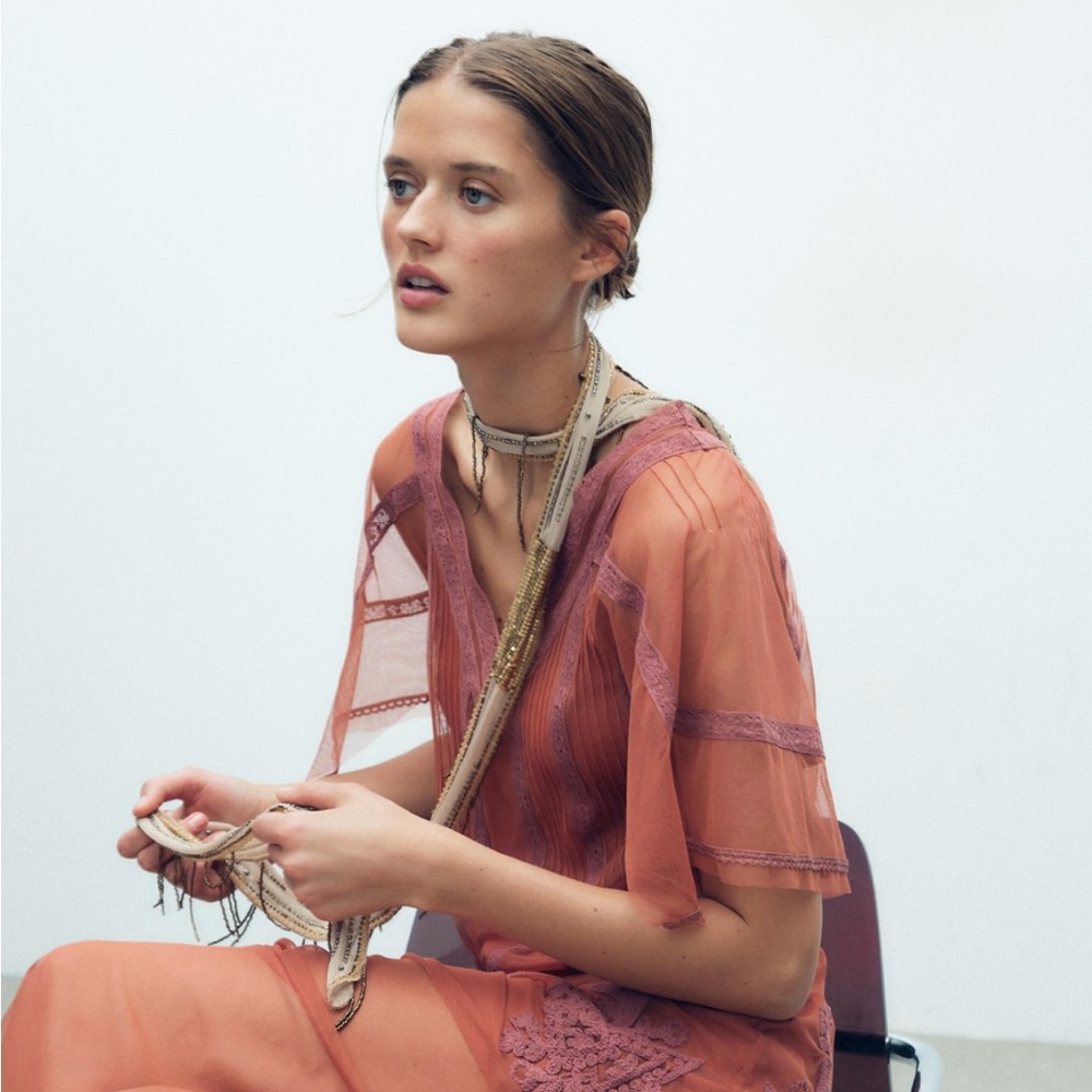 ZARA Embroidered Tulle Reddish Dress